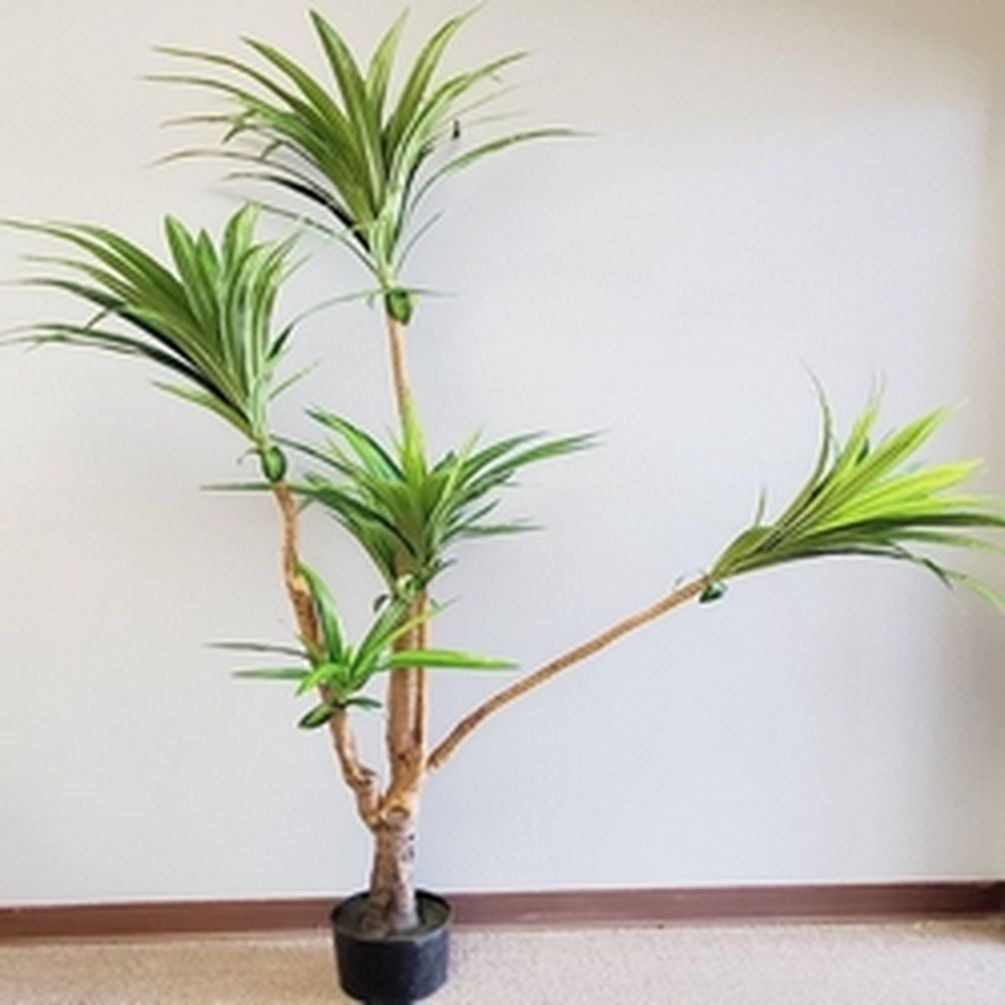 Picture of Mr. MJs CM-OM103GR 6.5 in. Potted Dracena Plant Faux Plants & Trees