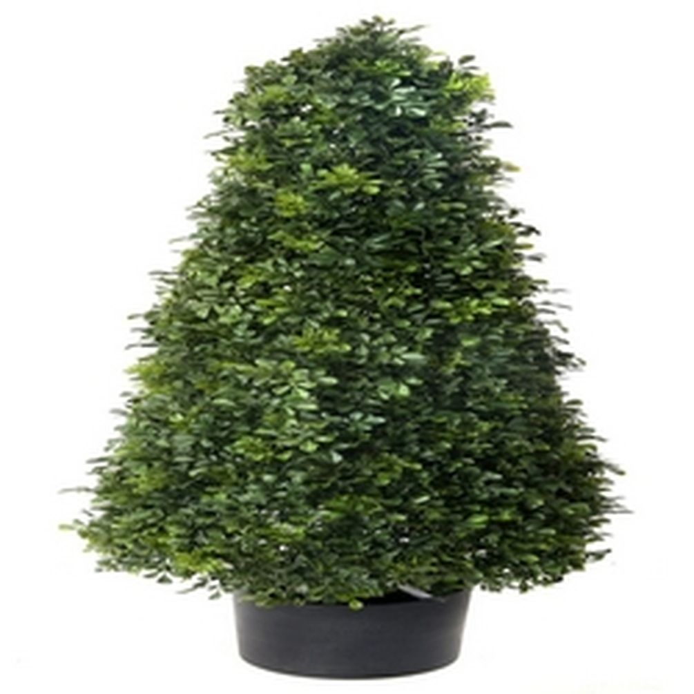 Picture of Mr. MJs CM-RC419GR 49 in. UV Protected Potted English Boxwood Cone Topiary Faux Plants & Trees