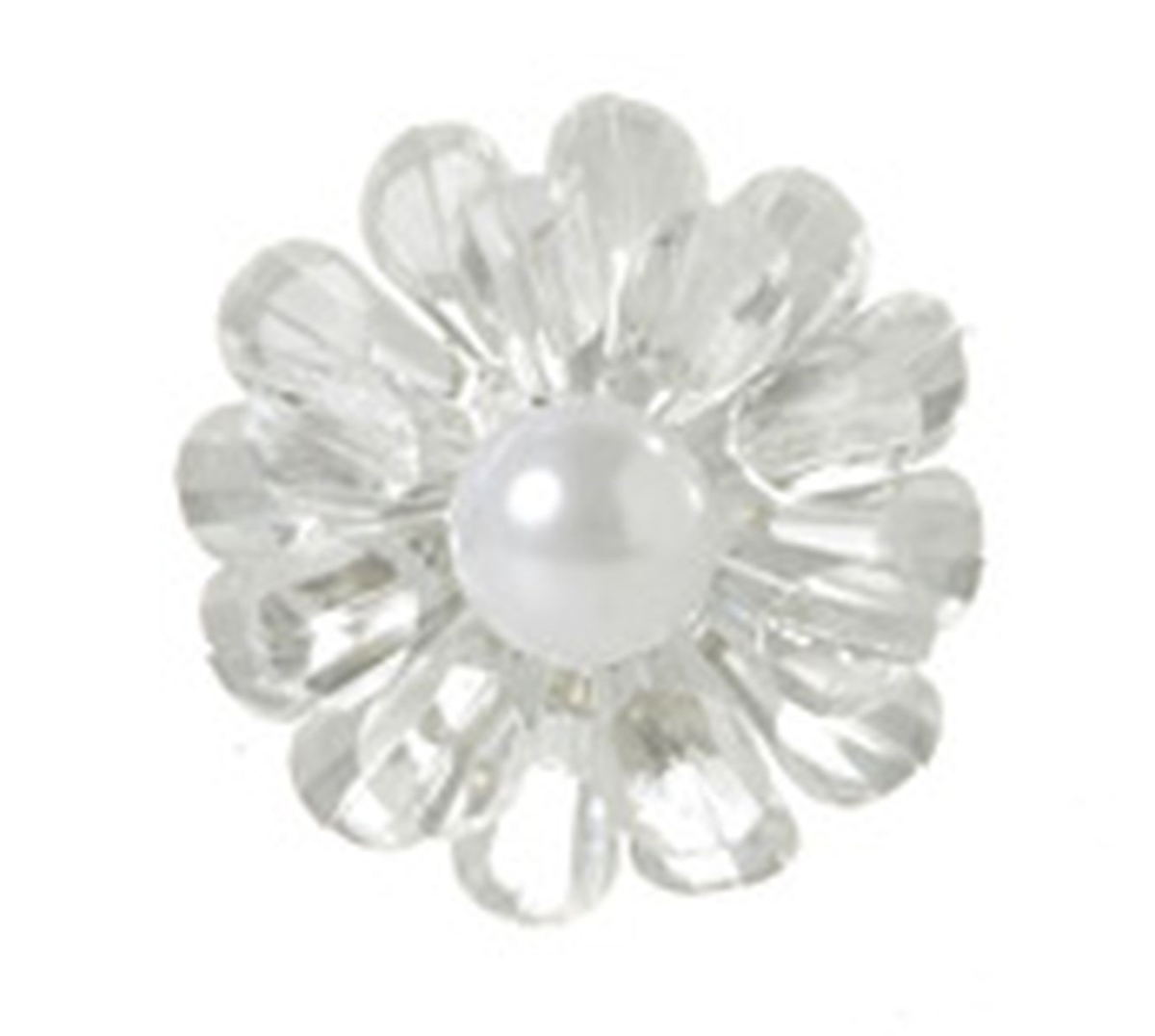 Picture of Mr. MJs VL-JA155-21-CLR Acrylic Flower Magnet&#44; Clear - Set of 6