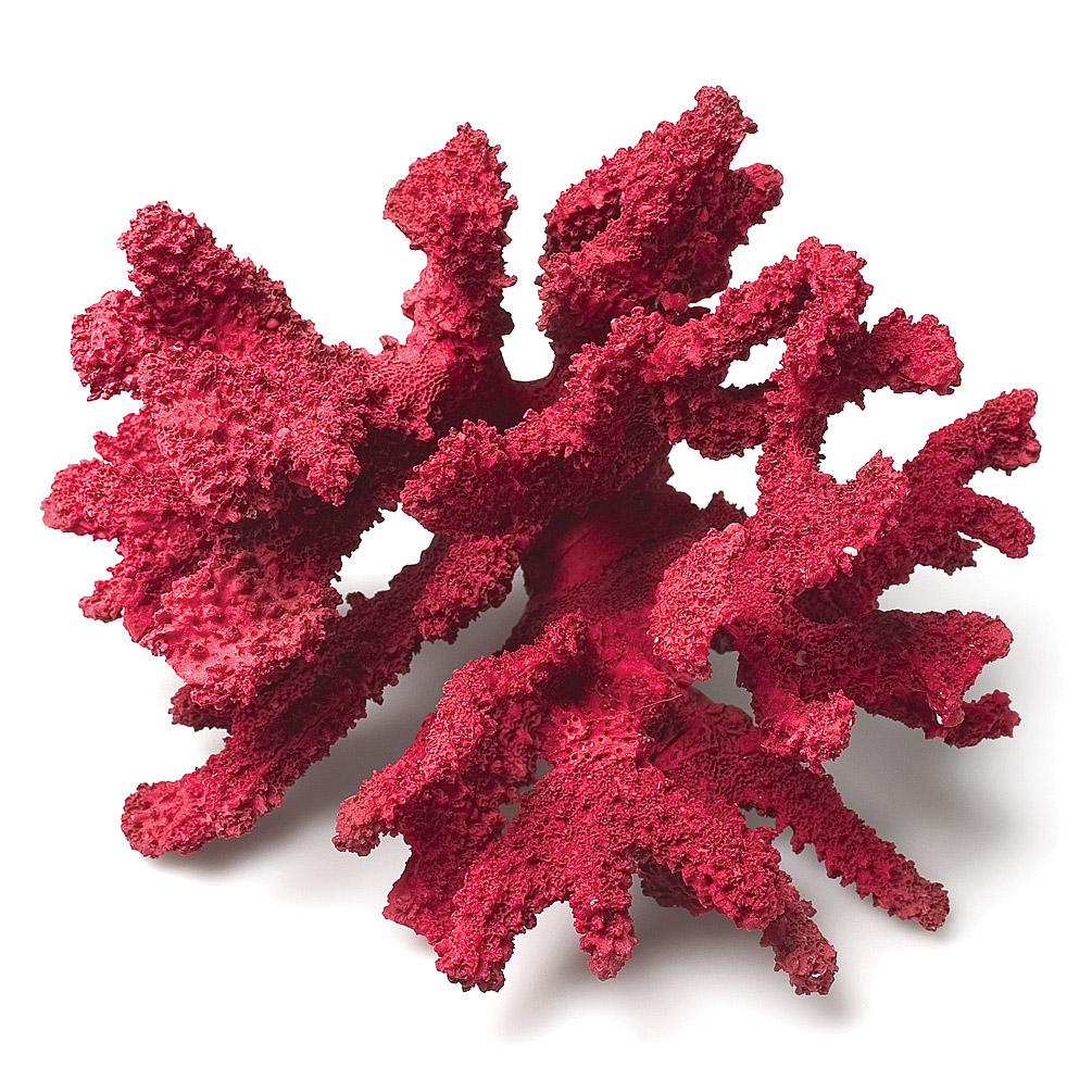 7 in. 3D Coral Branch, Red - Medium