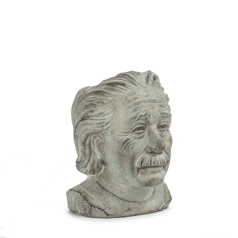 8 in. Einstein Head Planter, Grey - Small