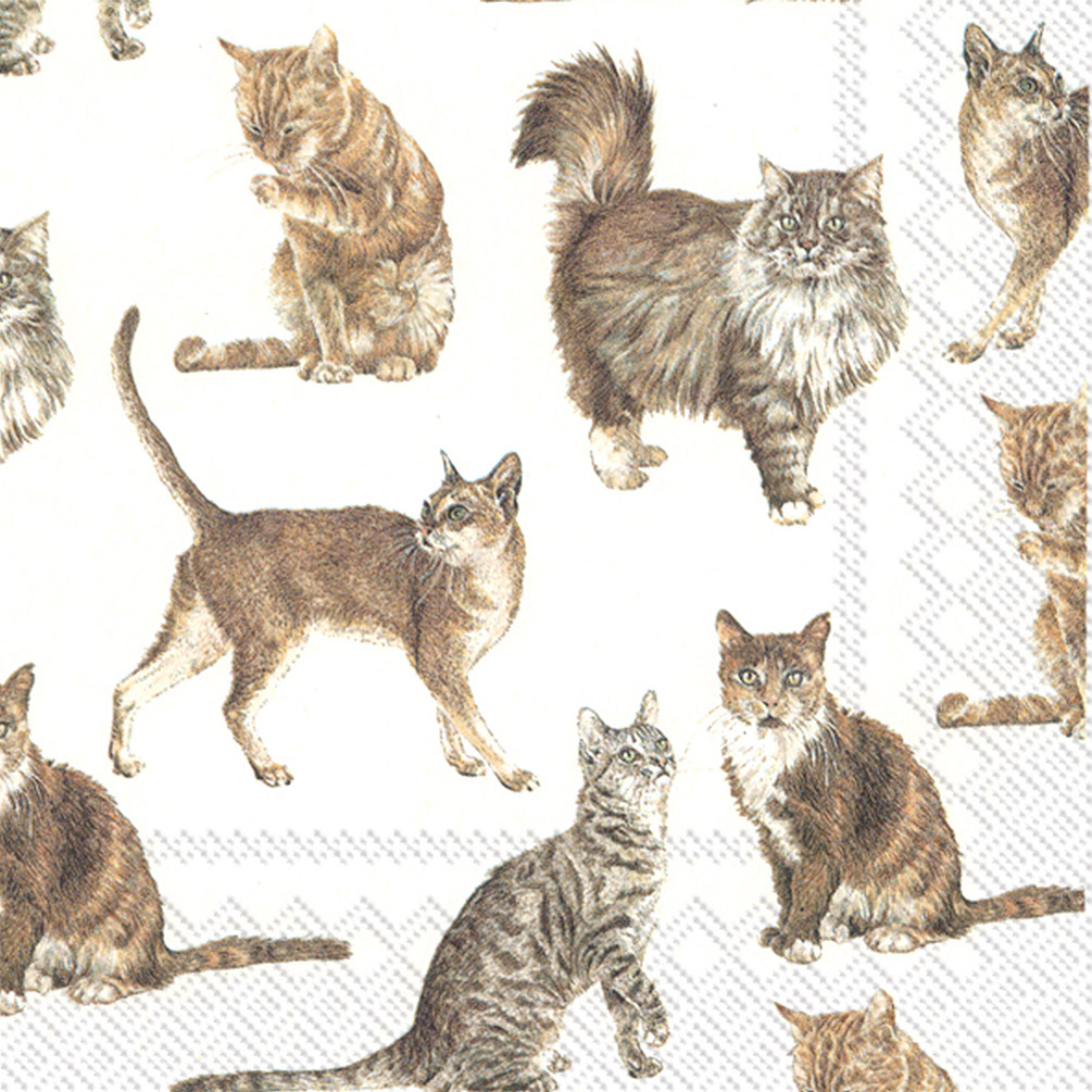 Picture of Abbott Collections AB-89-LPN-DP-07 6.5 in. My Favorite Cat Napkins&#44; White & Grey - Set of 20