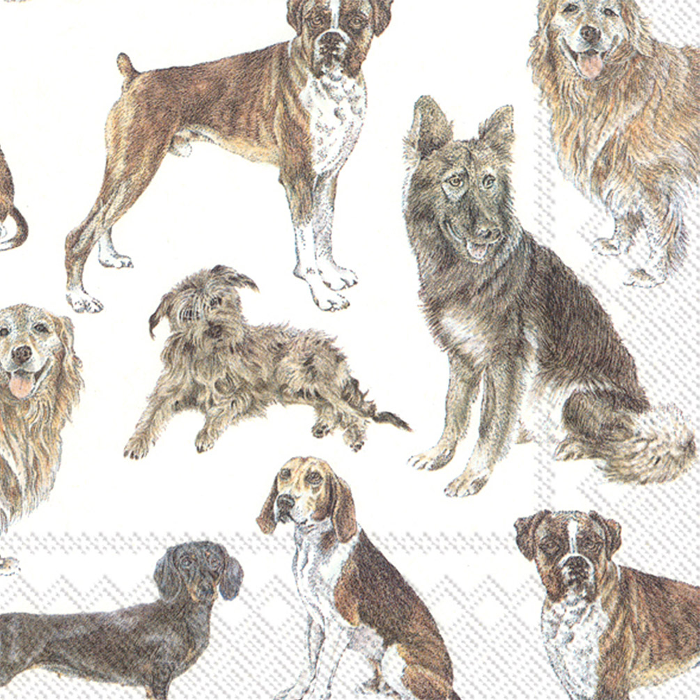 Picture of Abbott Collections AB-89-LPN-DP-08 6.5 in. My Favorite Dog Napkins&#44; White & Grey - Set of 20