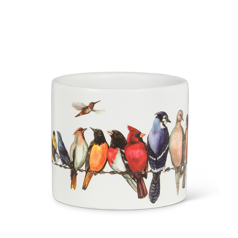 4.5 in. Colorful Birds on Wire Planter, Multi Color