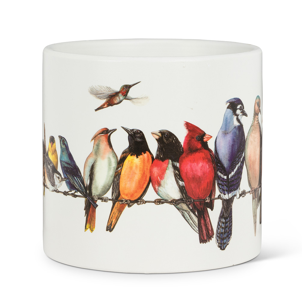 6.5 in. Birds on Wire Planter, Multi Color