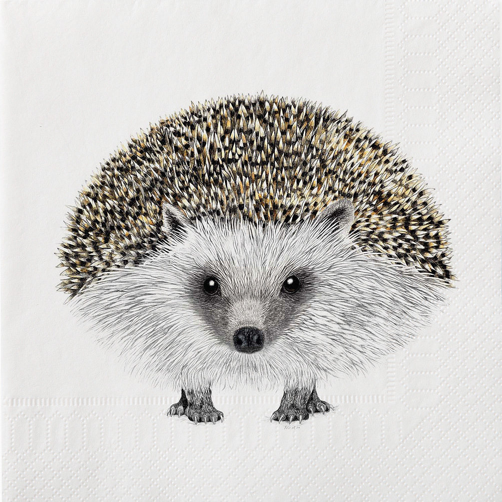 Picture of Abbott Collections AB-89-LPN-CN-03 6.5 in. Henry Hedgehog Napkins&#44; White & Grey - Set of 20