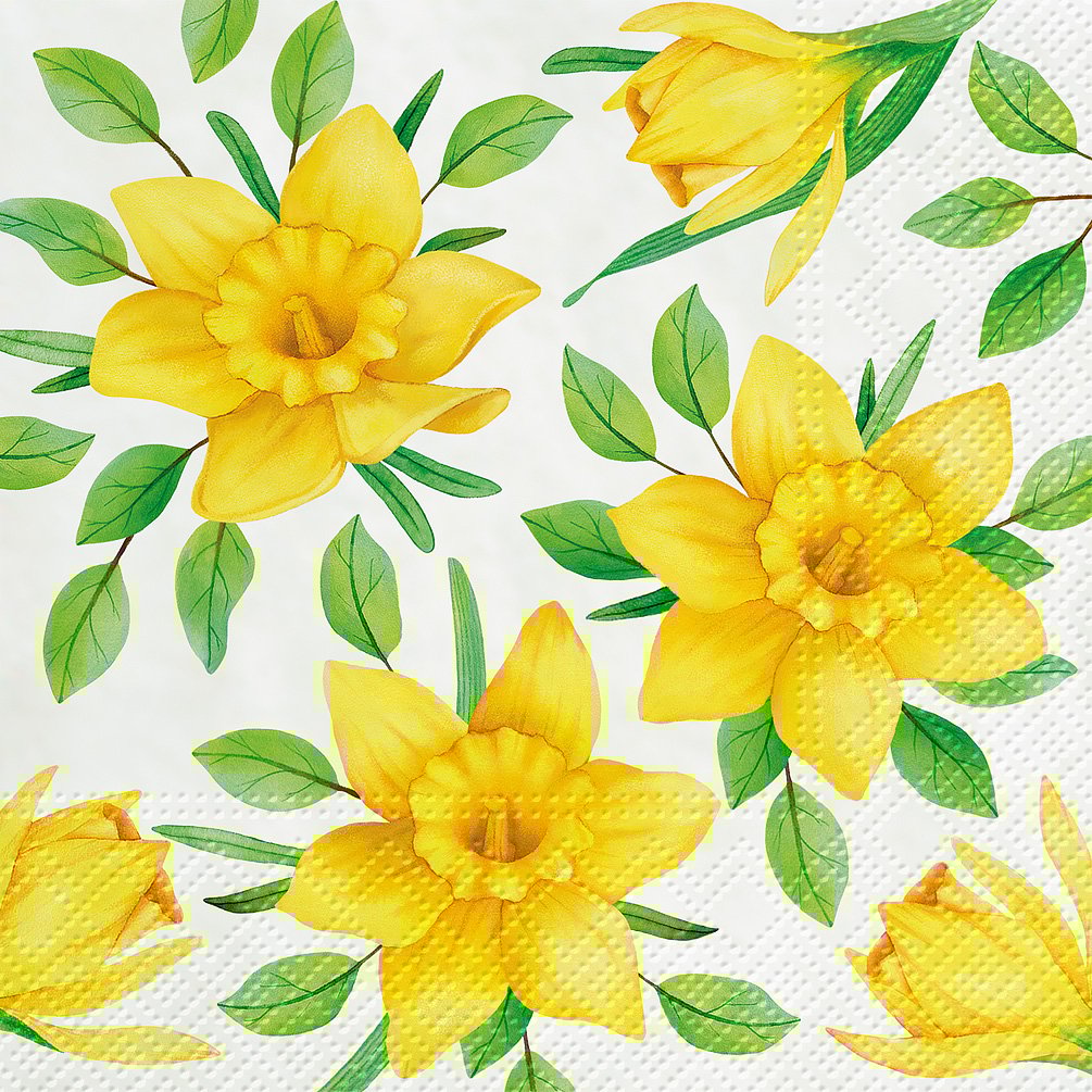 Picture of Abbott Collections AB-88-L-121700 6.5 in. Daffodils in Bloom Napkins&#44; White & Yellow - Set of 20