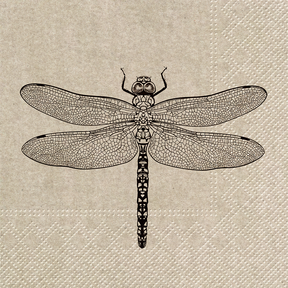 Picture of Abbott Collections AB-88-L-030100 6.5 in. We Care Dragonfly Napkins&#44; Natural - Set of 20