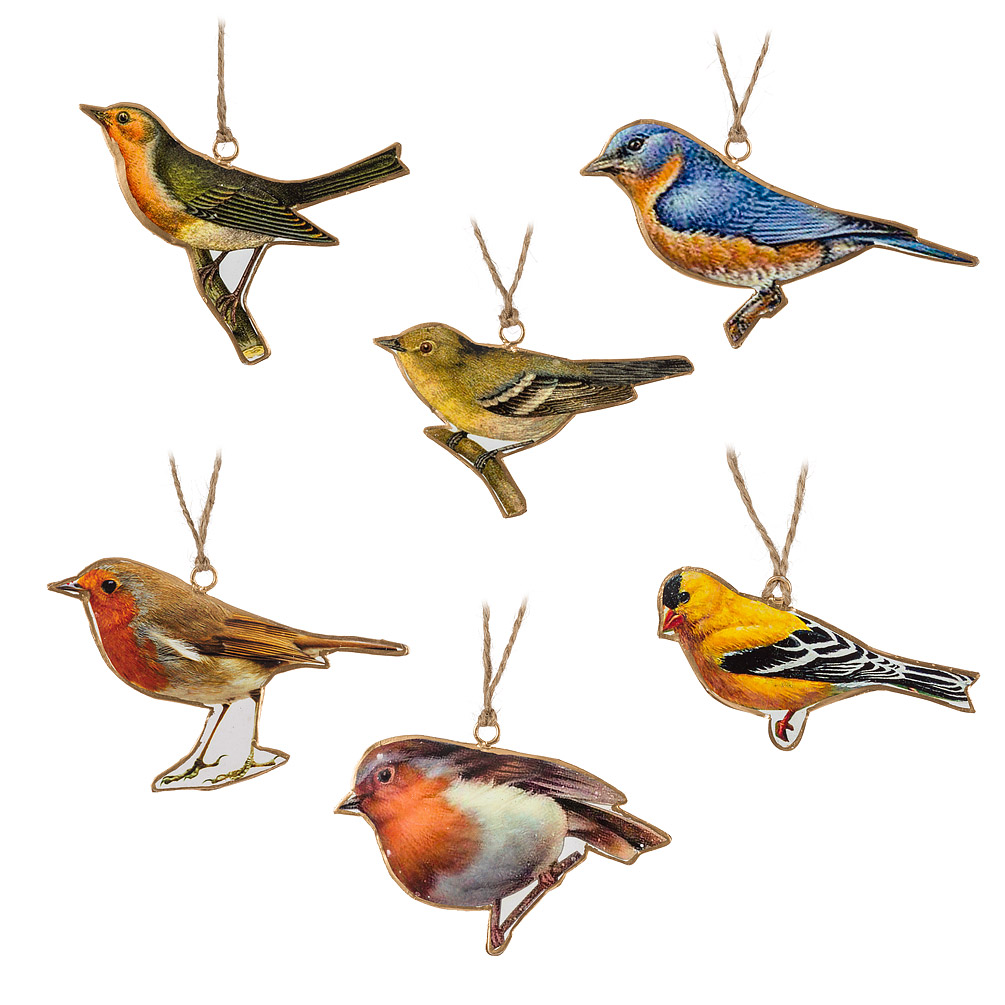 Picture of Abbott Collections AB-37-IMPRINT-063 Assorted Colourful Bird Ornaments - Set of 6