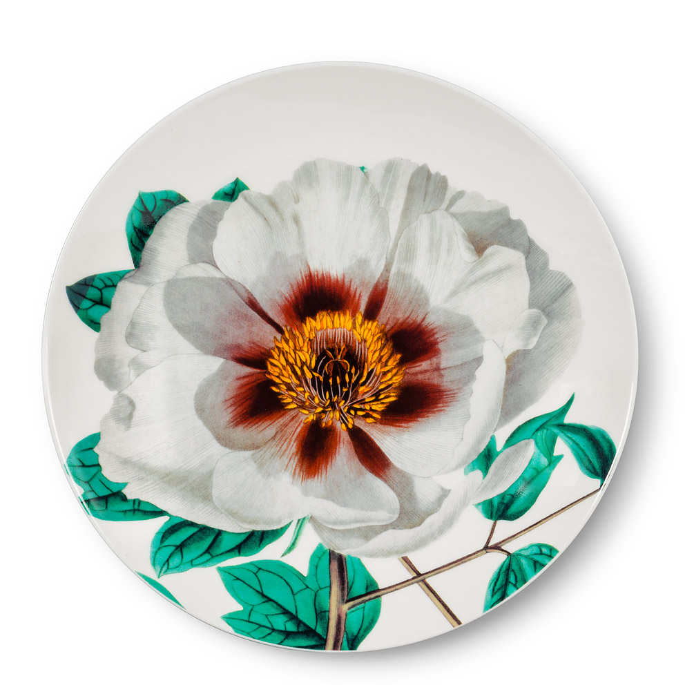 Picture of Abbott Collections AB-27-ADELE-01-CKPL 8 in. Flowering Bloom Plate&#44; Ivory & Green - Set of 4