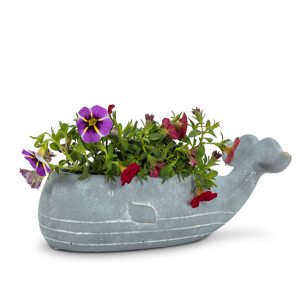 8 in. Whale Low Planter, Blue Grey - Small