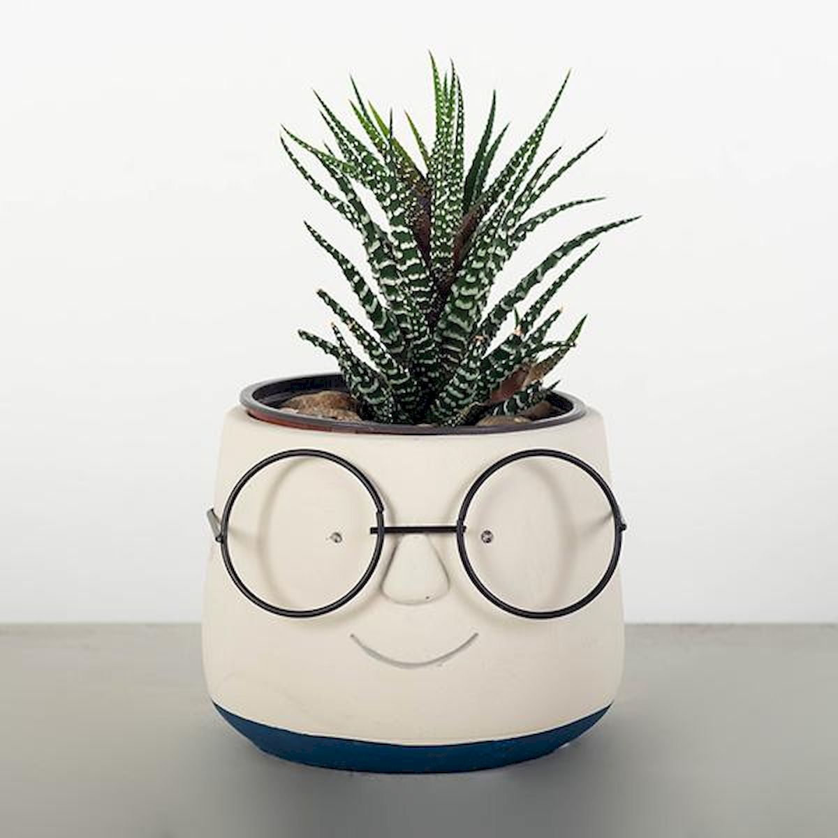 Cement Face with Glasses Blue Trimmed Planter