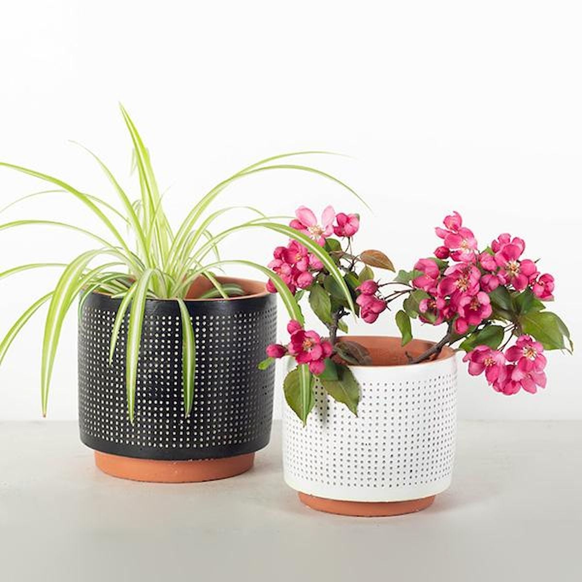 Black with Dots & White with Dots Planters - Set of 2