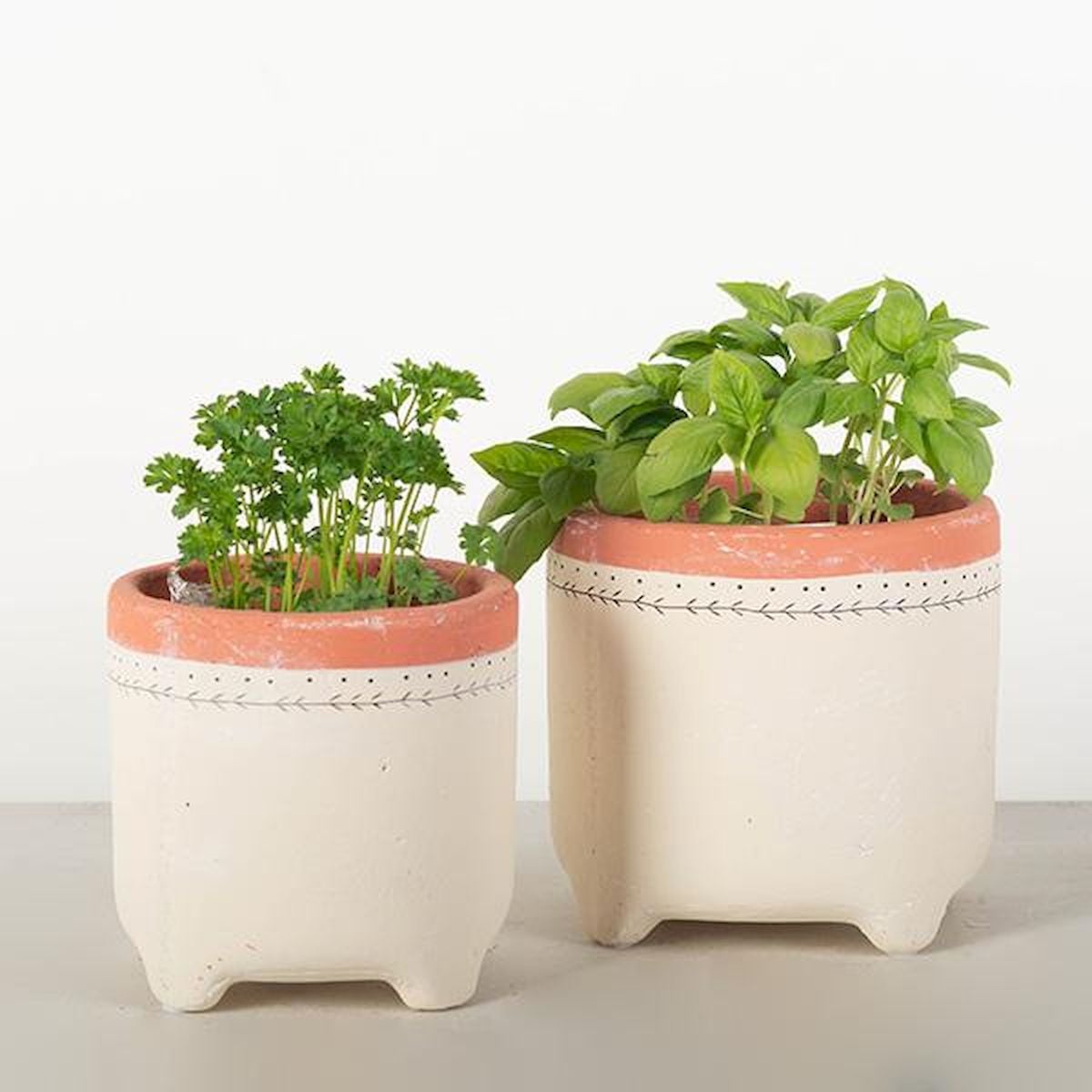 Off White with Beige Rims Footed Planters - Set of 2