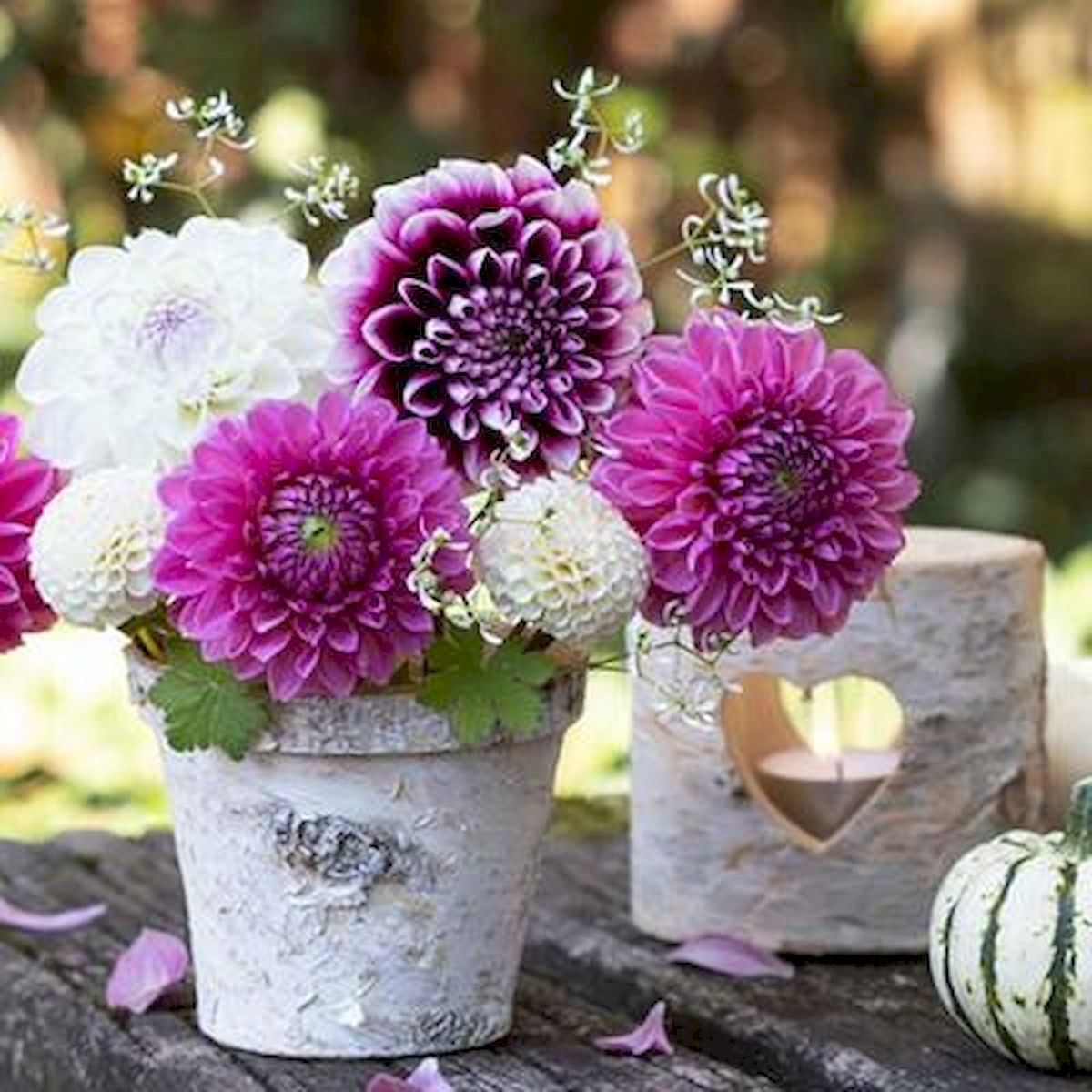 Picture of MDR Trading AP-NAP1170 Potted Dahlias with Birch bark Accents Napkins - Pack of 20
