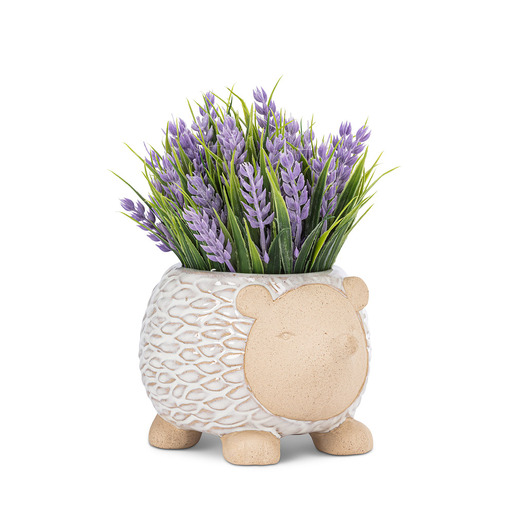 5 in. Ceramic Hedgehog Planter, White - Small