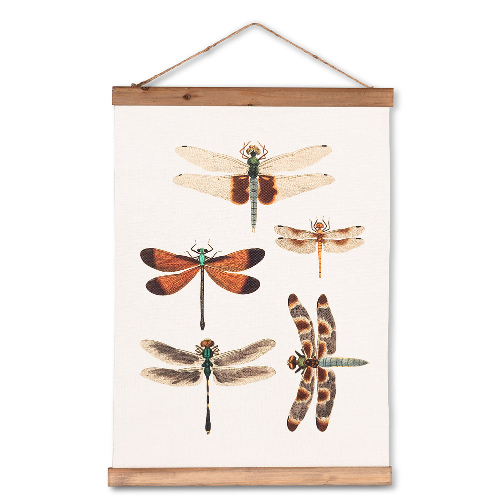 Picture of Abbott Collection AB-27-SCROLL-DB-171 14.5 x 20 in. Dragonflies Canvas Scroll&#44; Ivory