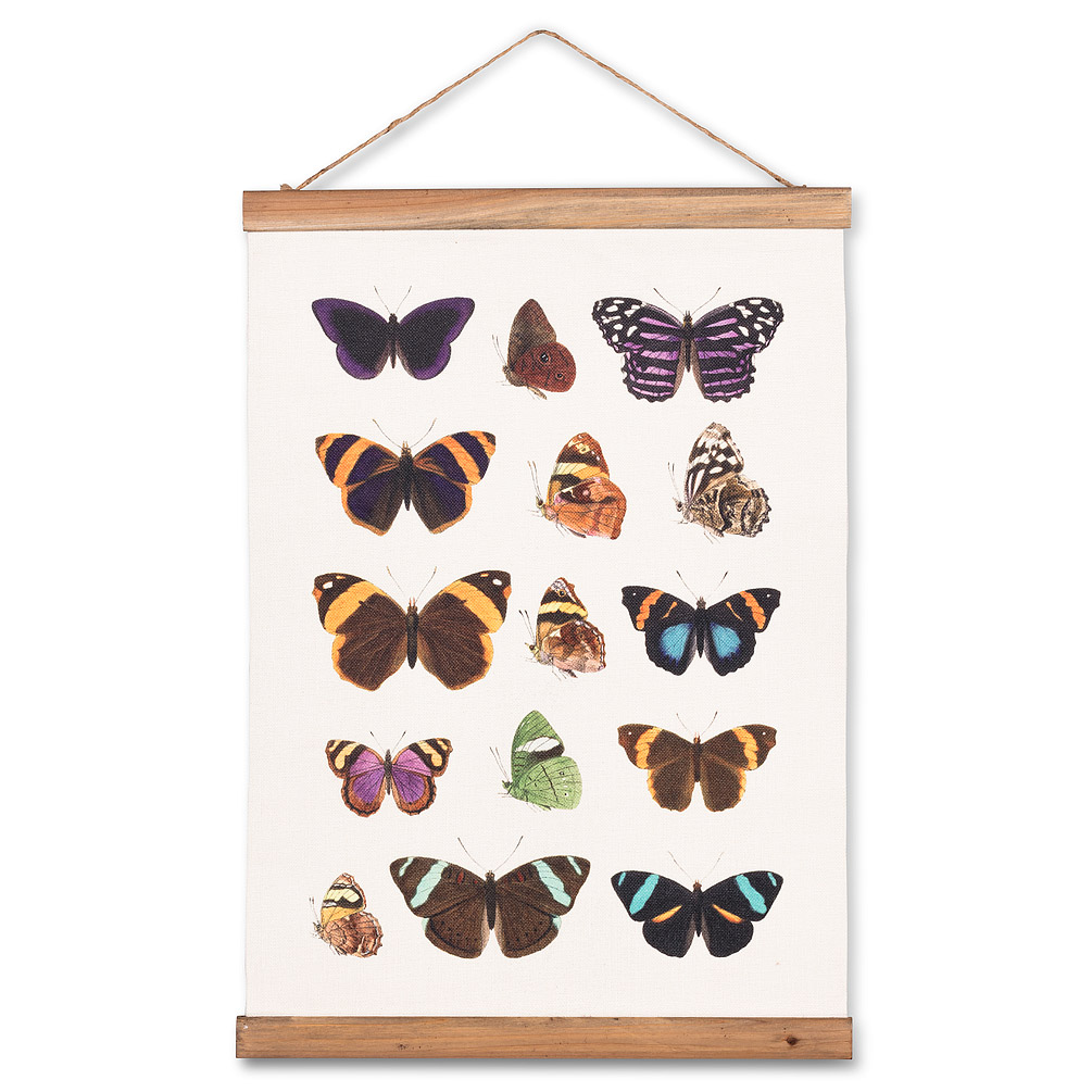 Picture of Abbott Collection AB-27-SCROLL-DB-172 14.5 x 20 in. Butterflies Canvas Scroll, Ivory