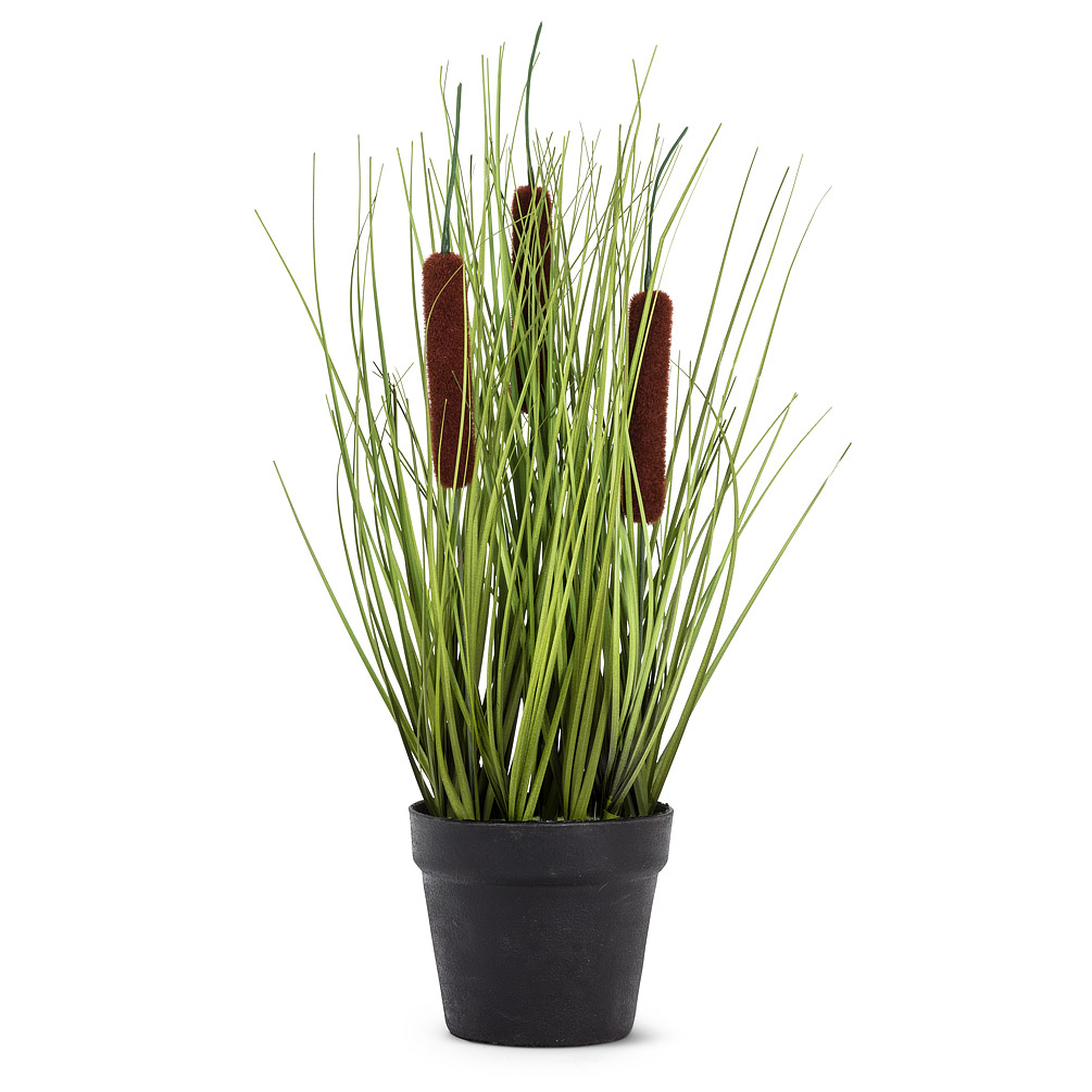 Picture of Abbott Collection AB-27-SAVANNAH-002 12 in. Cattail Grass in Pot&#44; Green & Brown