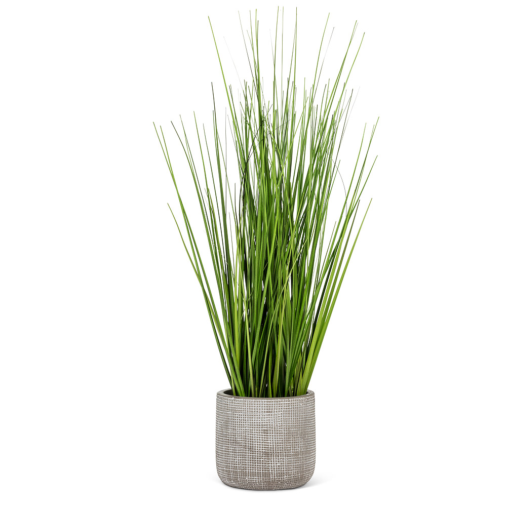 Picture of Abbott Collection AB-27-SAVANNAH-026 19 in. Tall Grass in Pot&#44; Green & Grey