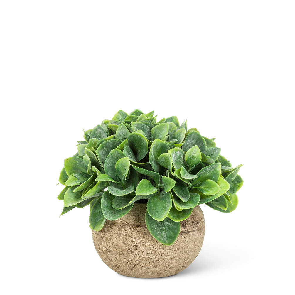 Picture of Abbott Collection AB-27-WOODHILL-21 5.5 in. Spade Leaf Plant Pot&#44; Green - Small