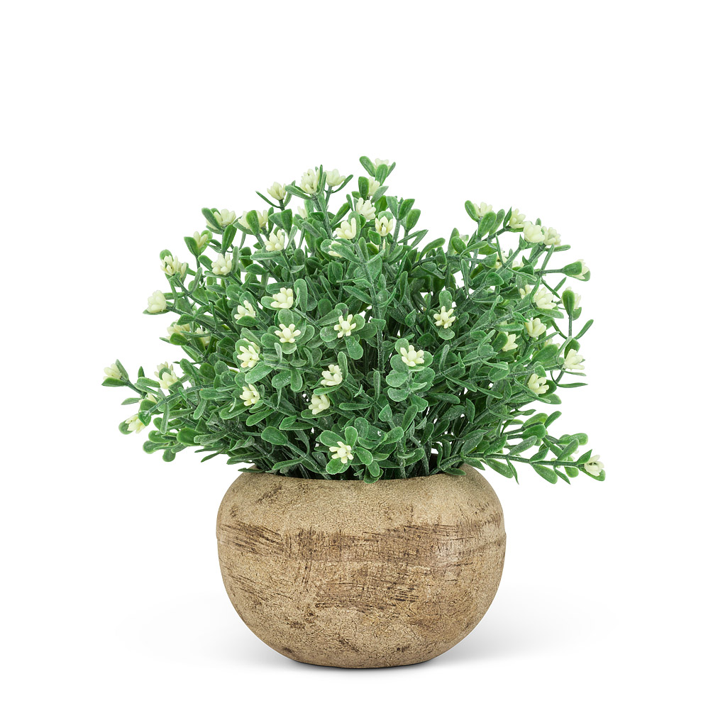 Picture of Abbott Collection AB-27-WOODHILL-24 5.5 in. Flowering Plant Pot&#44; Green & White - Small