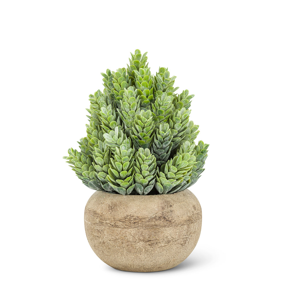 Picture of Abbott Collection AB-27-WOODHILL-26 6.5 in. Cone Leaf Plant Pot&#44; Green - Small