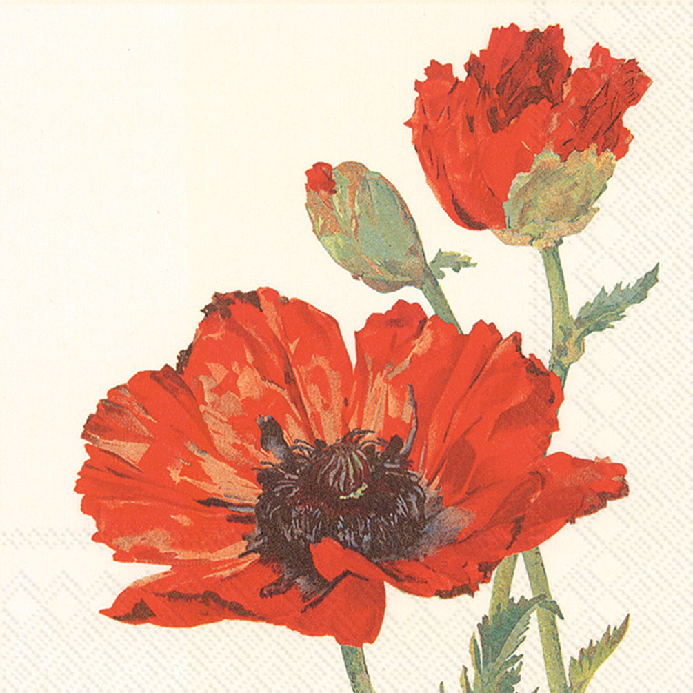 Picture of Abbott Collection AB-89-LPN-DP-360 6.5 sq. in. Luncheon Poppy Napkin&#44; Ivory & Red