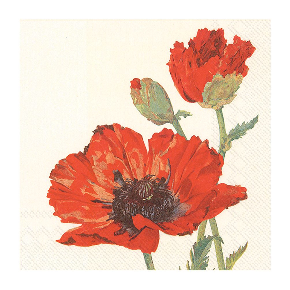 Picture of Abbott Collection AB-89-CPN-DP-360 5 sq. in. Cocktail Poppy Napkin&#44; Ivory & Red