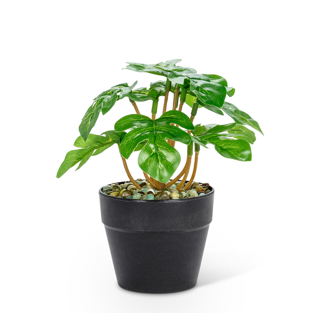 Picture of Abbott Collection AB-27-BOTANY-057-02 6 in. Spade Leaf Plant&#44; Green - Small
