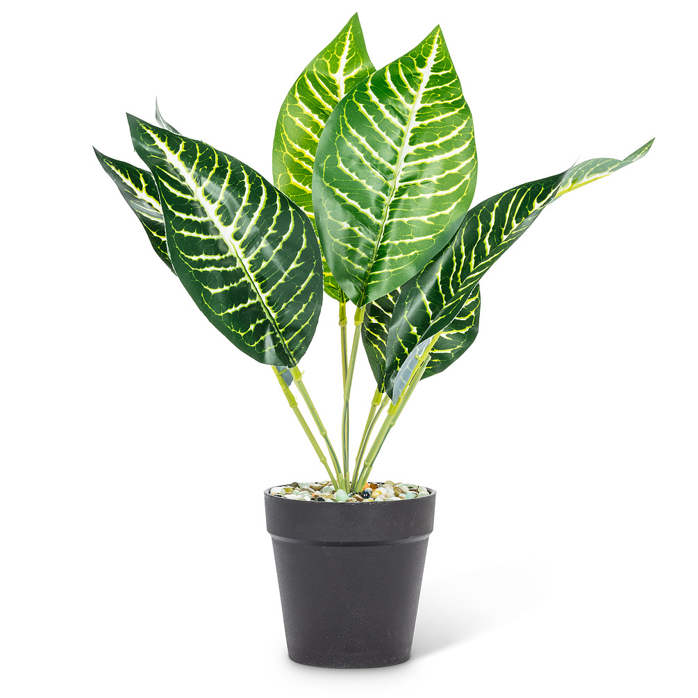 Picture of Abbott Collection AB-27-BOTANY-018-01 14 in. Polyester & Plastic Leaf Plant&#44; Green & White - Medium