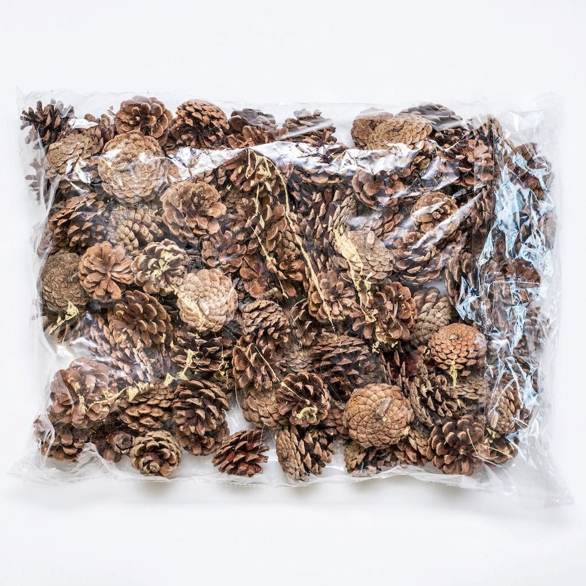 Bag of Jersey Pinecones Decorations, 100 Piece