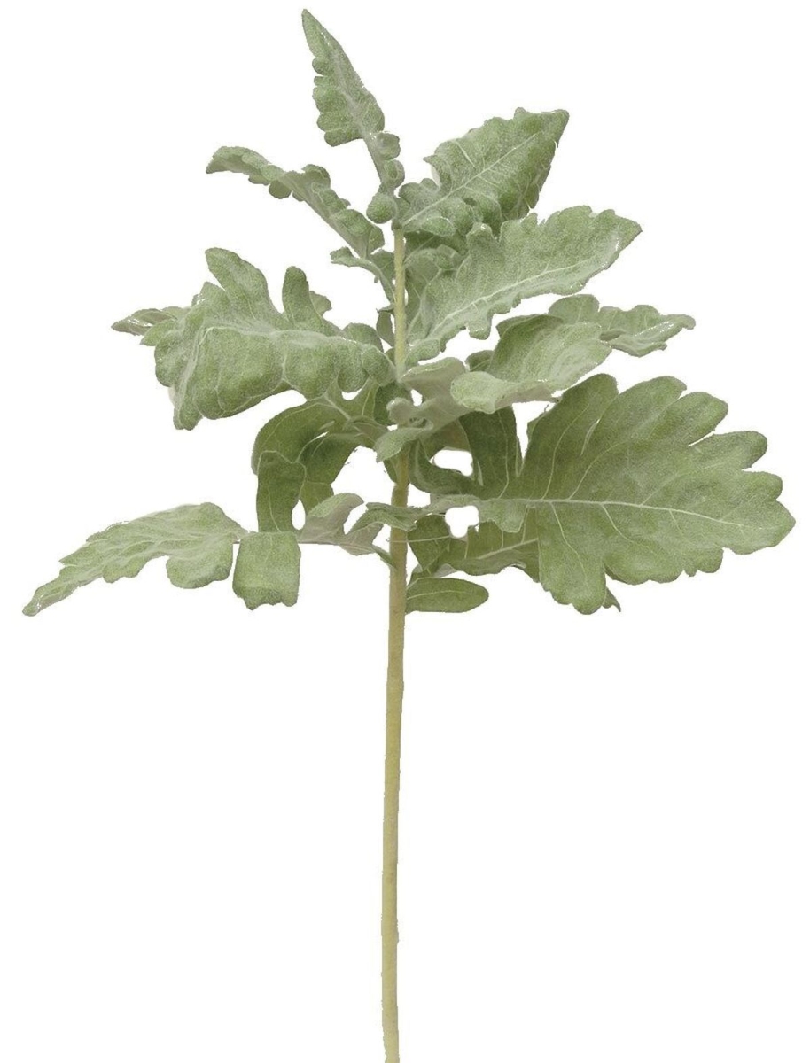 Frosted Dusty Miller Stem Faux Plants & Trees