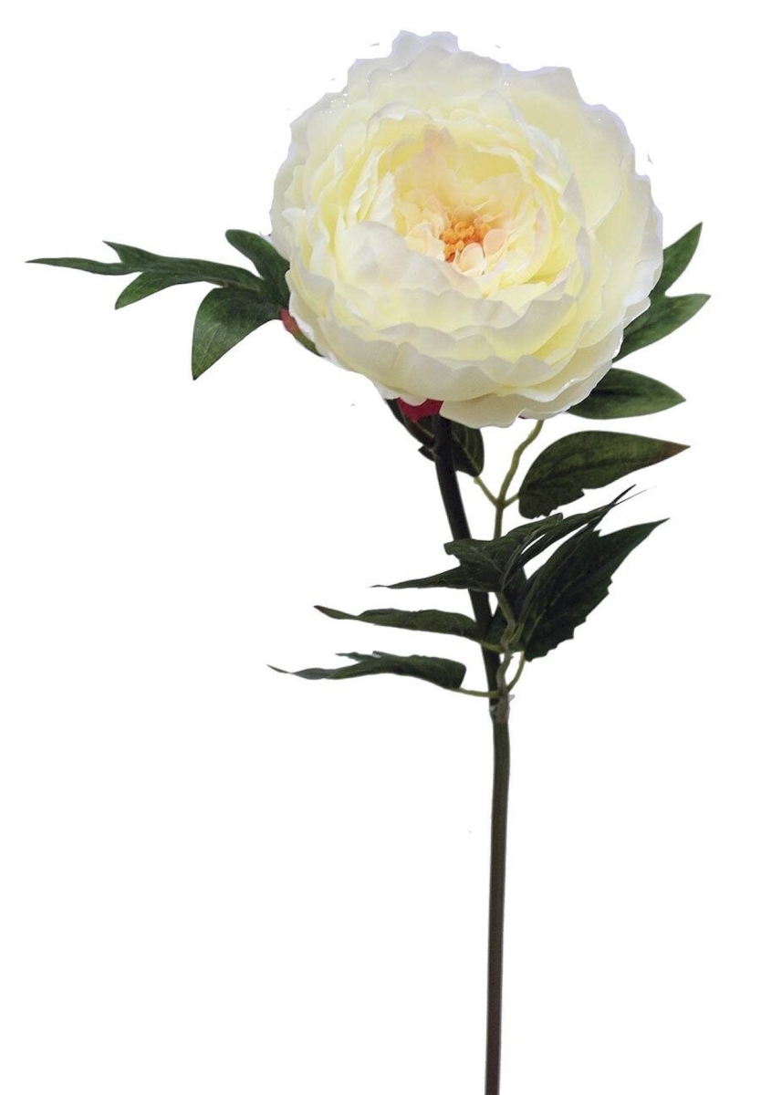 Creamy White Peony Garden Stem Artificial Flower