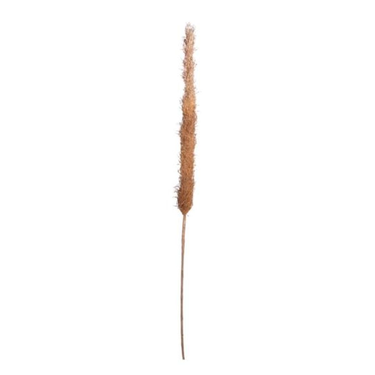 Natural, Cream Pampas Grass Stem Faux Plants & Trees
