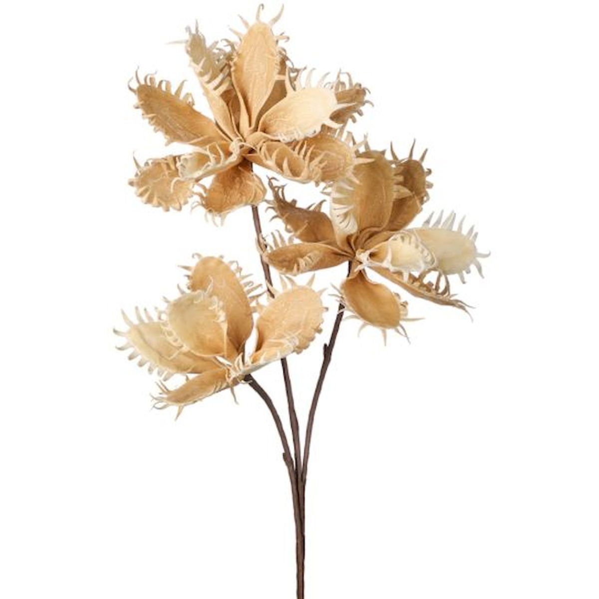 Brown & Cream Fly Trap Spray Artificial Flowers