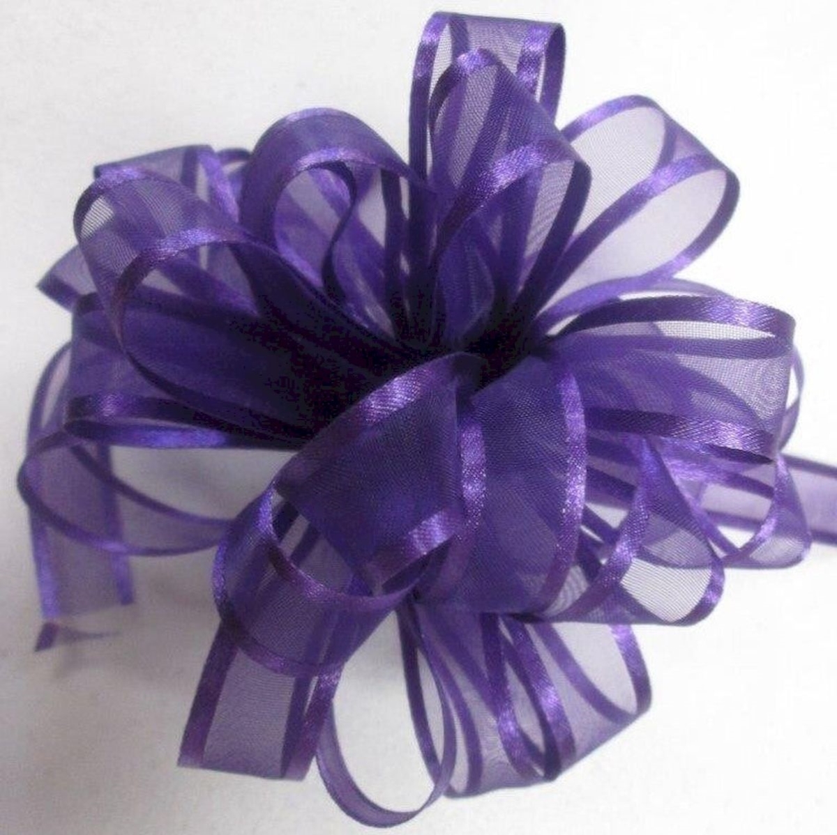 Picture of Mr. MJs Trading AI-183309 Cleopatra Purple Ribbon