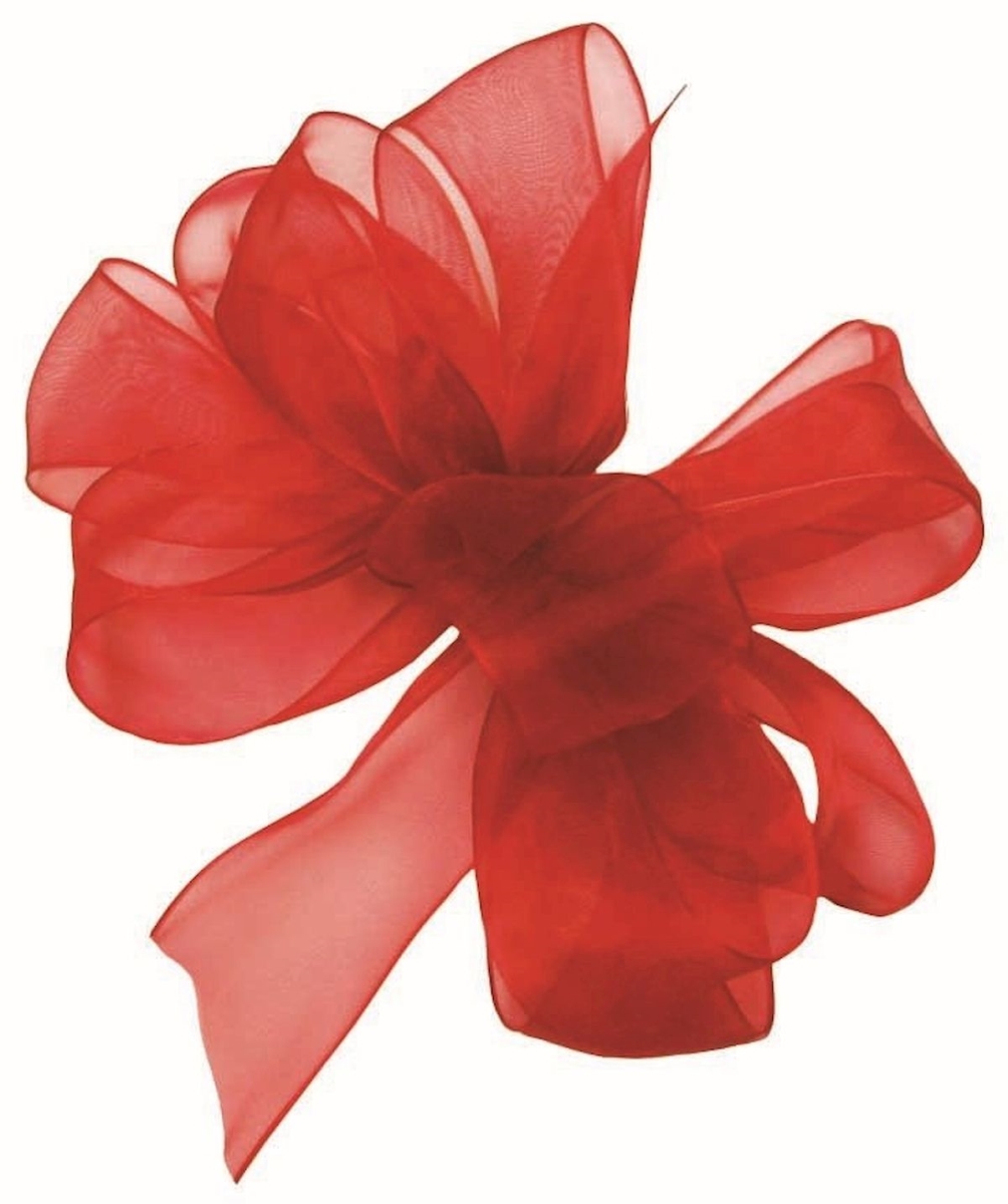 Picture of Mr. MJs Trading AI-189913 1.5 in. Red Chiffon Ribbon