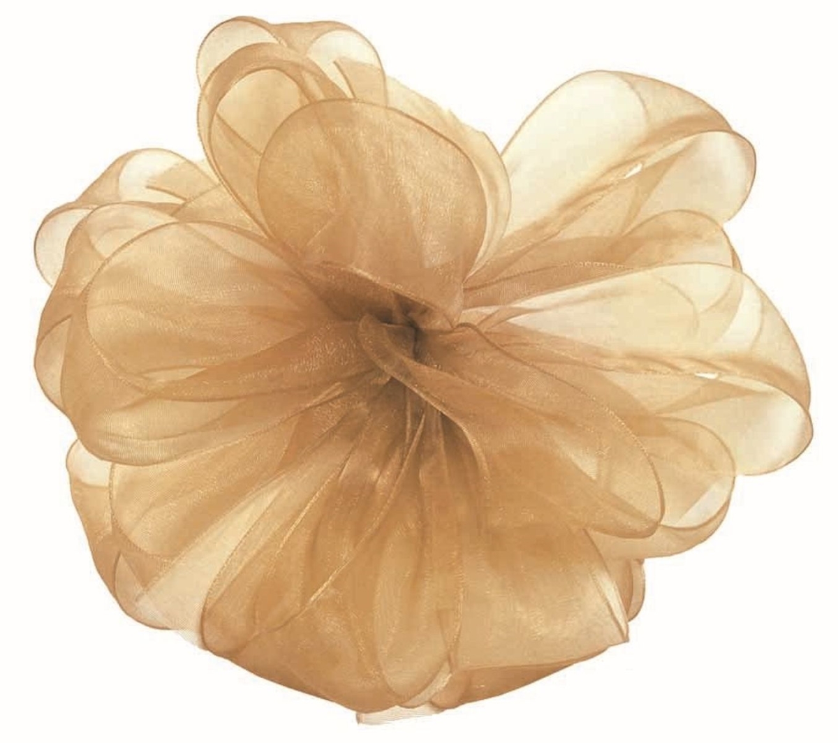 Picture of Mr. MJs Trading AI-189924 1.5 in. Champagne Chiffon Ribbon
