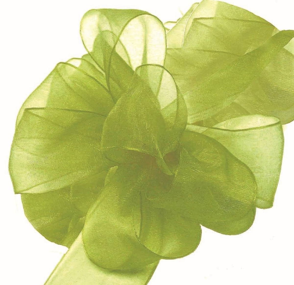 Picture of Mr. MJs Trading AI-189929 1.5 in. Willow Green Chiffon Ribbon