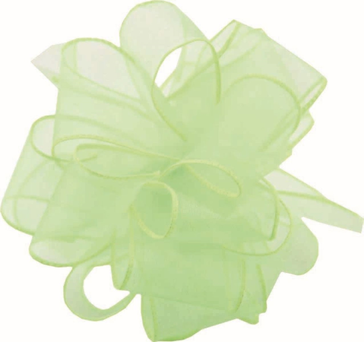 Picture of Mr. MJs Trading AI-190919 Lime Green Spring Sheer Wired Ribbon