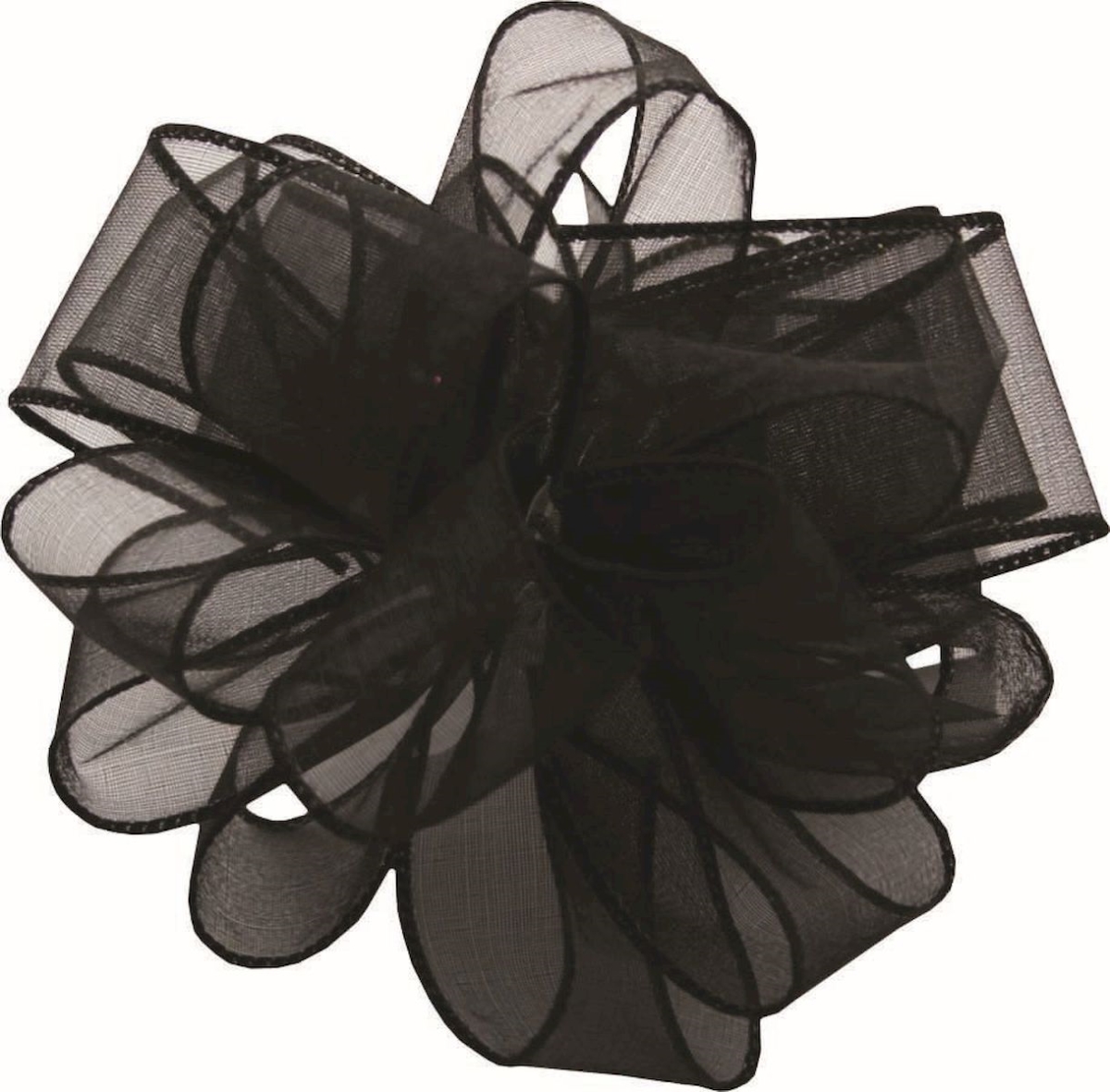 Picture of Mr. MJs Trading AI-190926 Black Spring Sheer Wired Ribbon