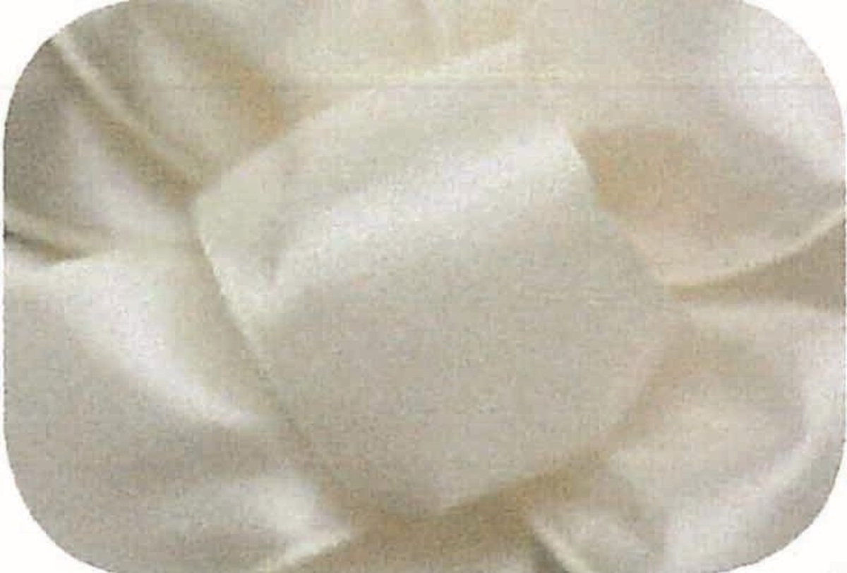 Picture of Mr. MJs Trading AI-198986 Ivory Wired Taffeta Ribbon