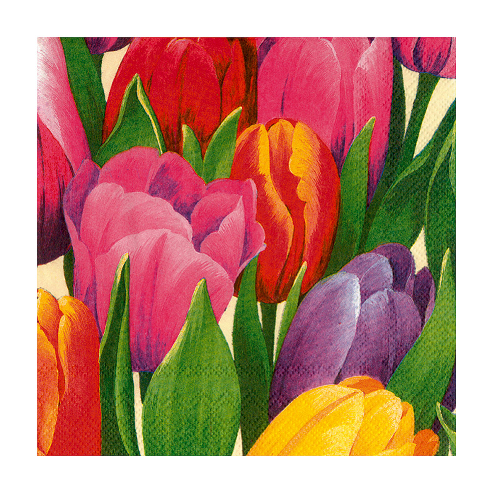 Picture of Mr. MJs AB-89-CPN-DP-0100 5 in. Paper Square Tulip Time Cocktail Napkins, Multi Color - Set of 20