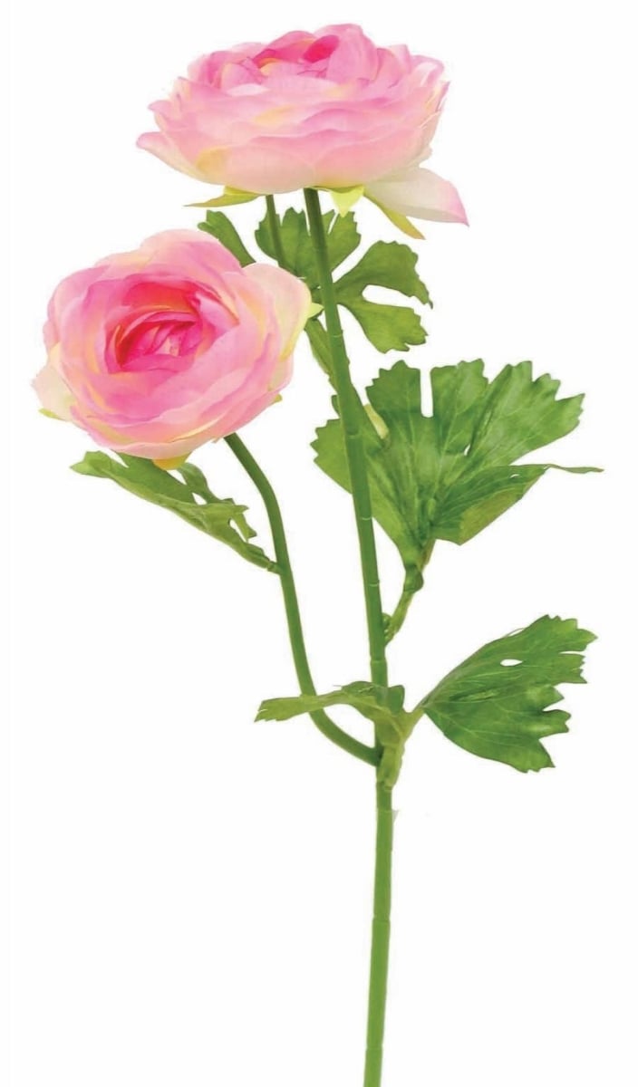 AI-FL3950CPK-Q02 Cerise Pink Ranunculus Garden Stem Artificial Flower - Set of 2 -  MDR Trading, AI-FL3950CPK_Q02