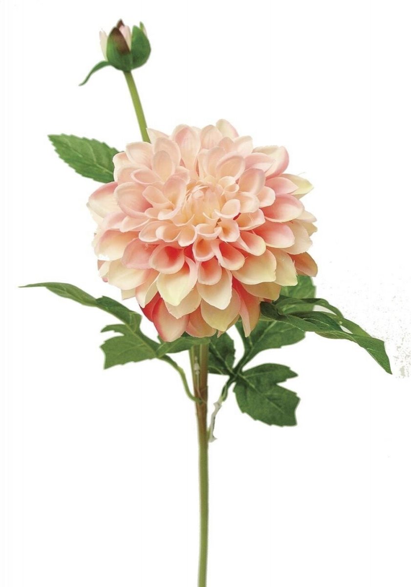 AI-FL3962PCR-Q02 Creamy Pink Dahlia with Bud Artificial Flower - Set of 2 -  MDR Trading, AI-FL3962PCR_Q02