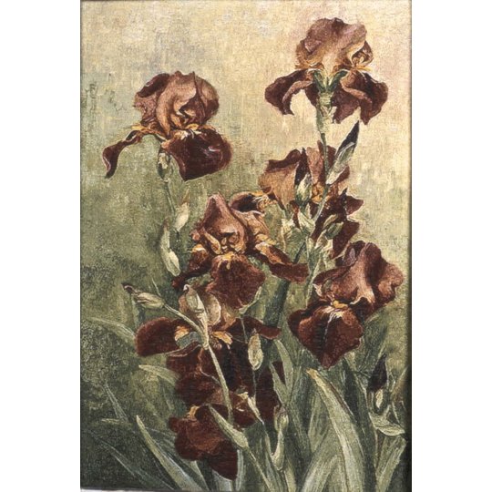 Picture of Hi-Line Gift TXPC-008 High Density Tapestry Picture IrisesTea Time - Lining on Reverse