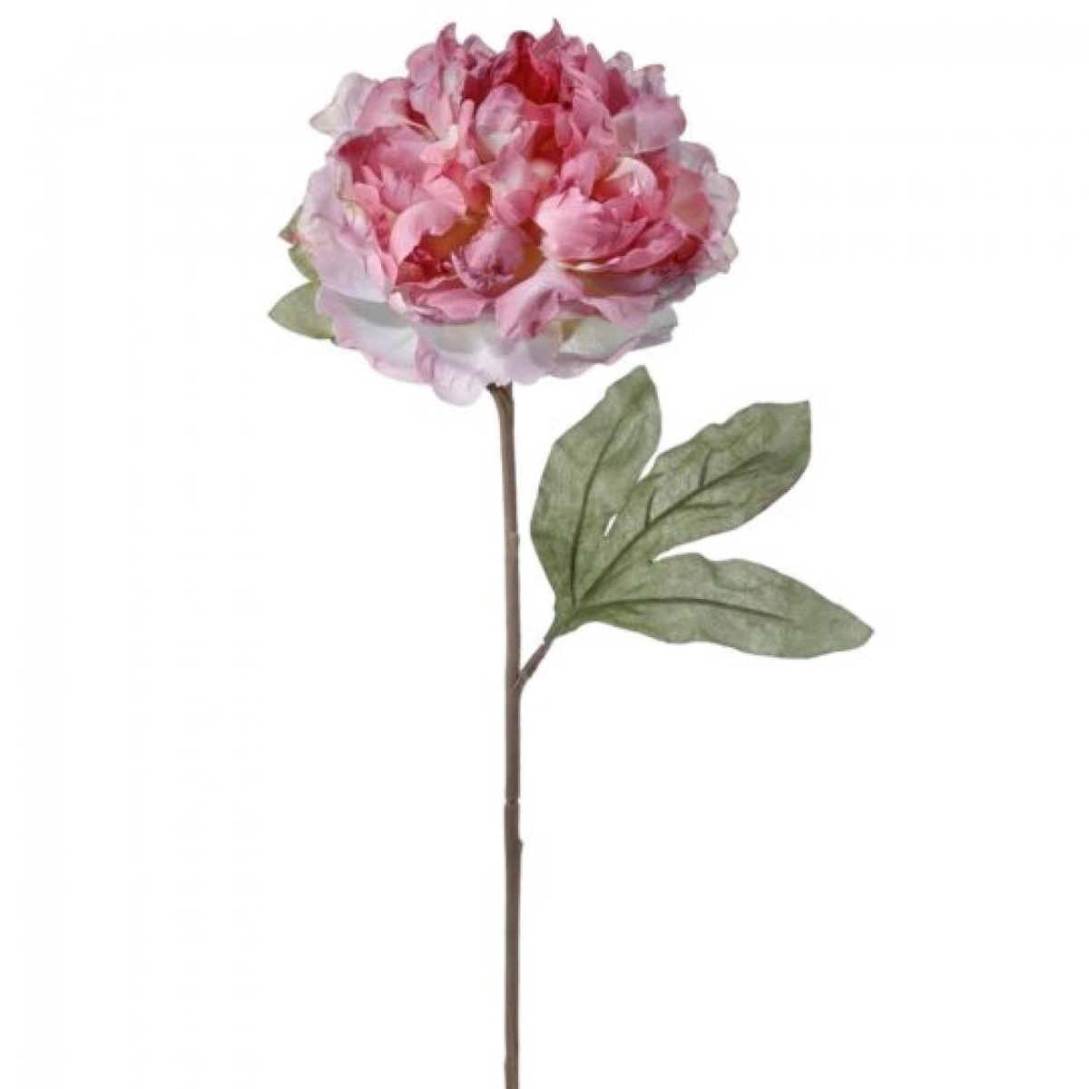 CM-RT342MV_Q01 Mauve Dried Look Parisian Peony Stem Artificial Flower