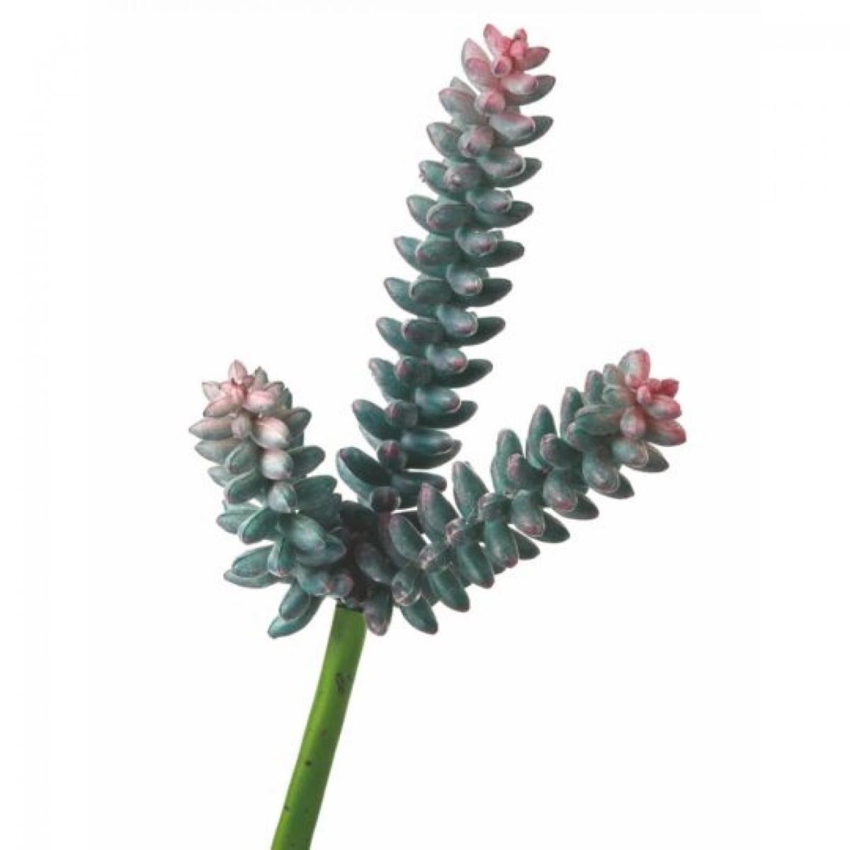 CM-RT012GR_Q01 Frosted Spike Succulent Faux Plants And Trees