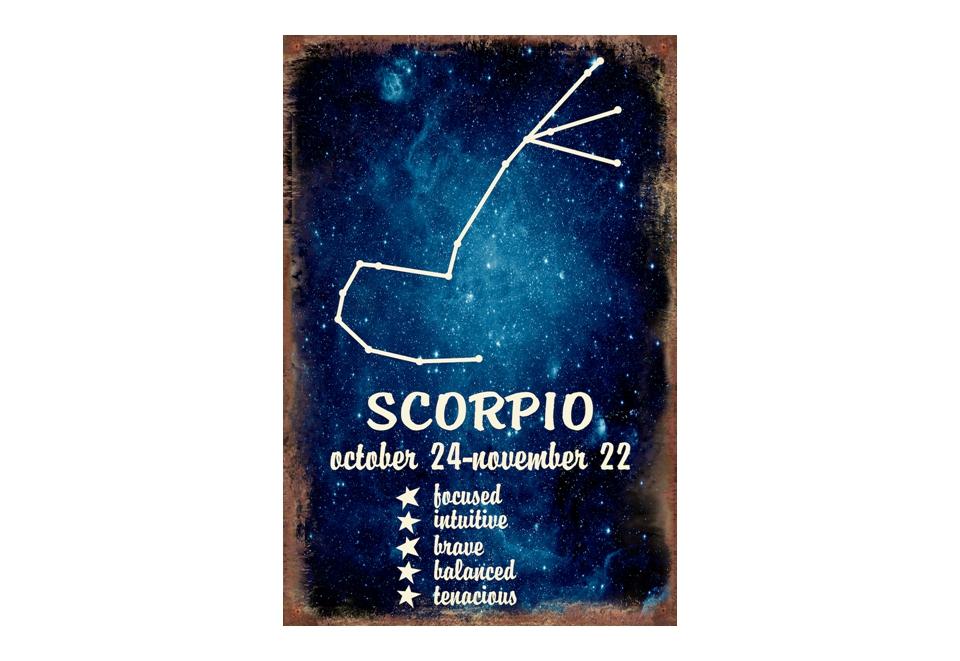 IV-W18-GT188 Scorpio Metal Wall Decor